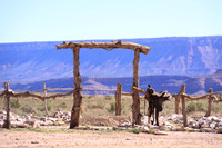 Saddle on fence Nevada