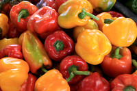 Red and Orange Peppers