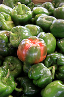 Green Peppers with a Splash of Red