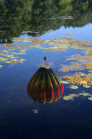 Balloon Reflection