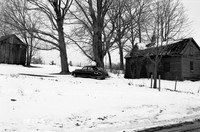 Winter Scenes