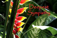 #19 Deepest Sympathy