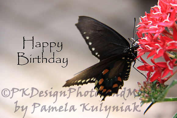 #7 Happy Birthday