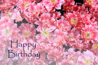 #4 Happy Birthday