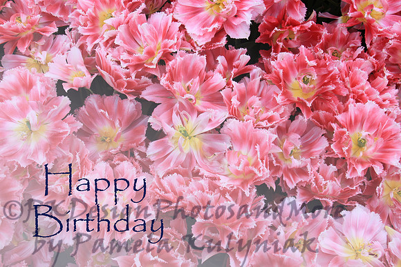 #4 Happy Birthday