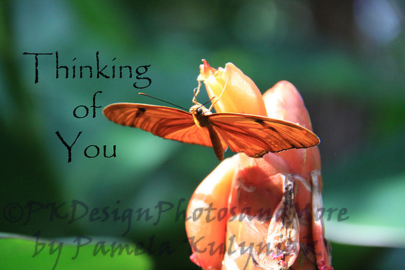 #16 Thinking of You