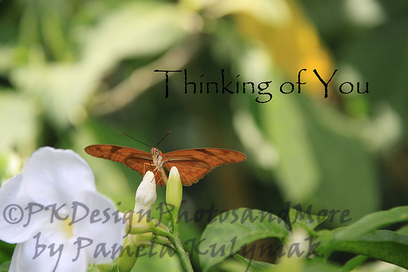 #17 Thinking of You