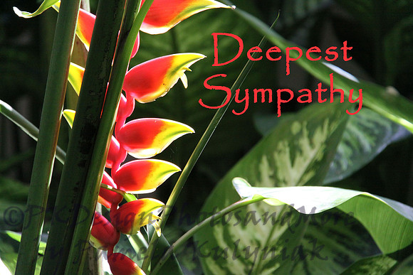#19 Deepest Sympathy