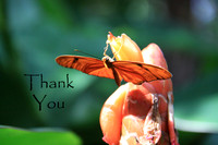 #35 Thank You