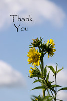 #36 Thank You