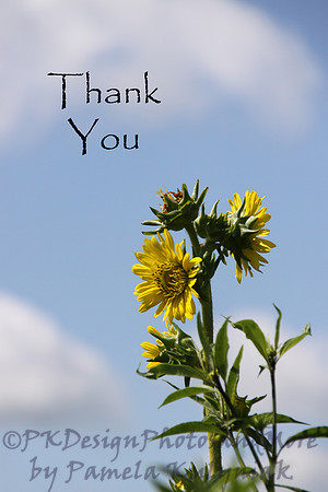 #36 Thank You