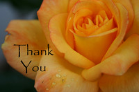 #50 Thank You