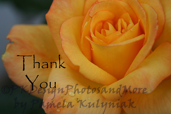 #50 Thank You