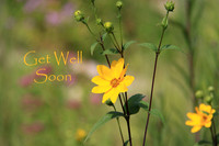Get Well Soon #23
