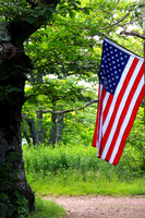 Flag on the path