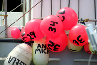 BINGO Buoys