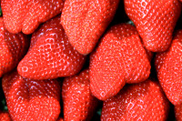 Fruits & Vegetables