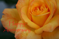 #12 Happy Anniversary