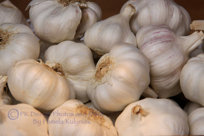 Garlic