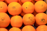 Oranges