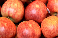 Apples
