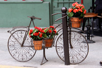 Flower bike