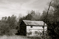 Barn in a Field