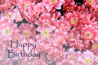 #4 Happy Birthday
