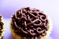 Chocolate Swirl Cupcake