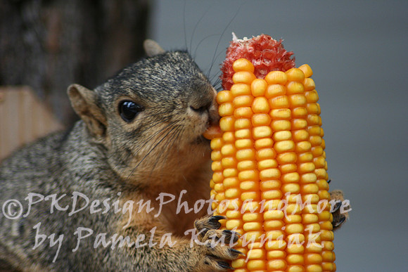 Just let me eat!